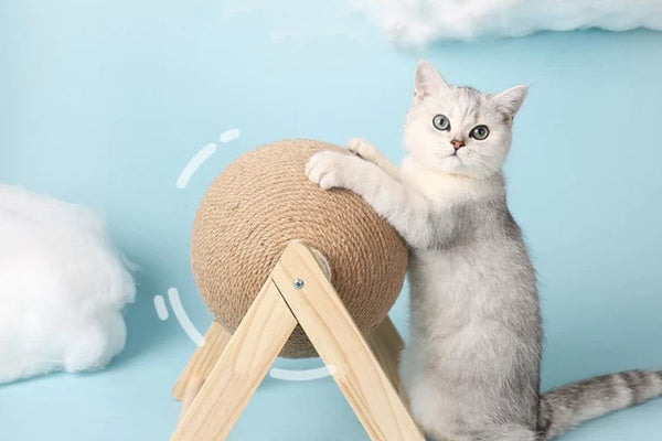 Best Cat Toys in 2023