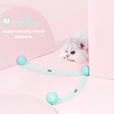 The Ultimate Cat Toy: Cheerble Ball!