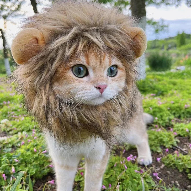 Cat Costumes