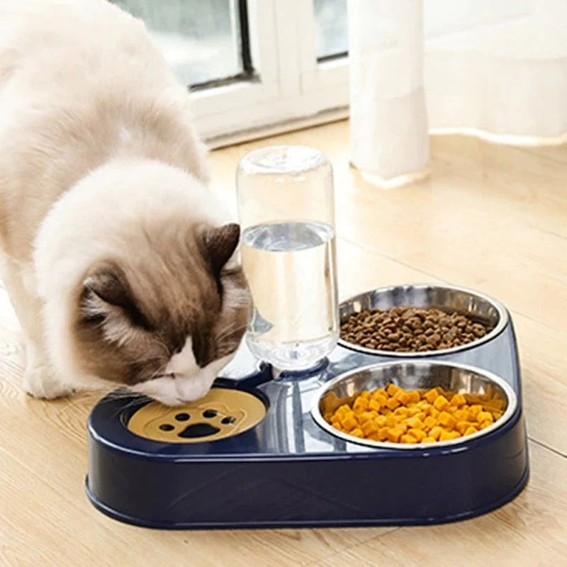 Cat Feeders & Bowls