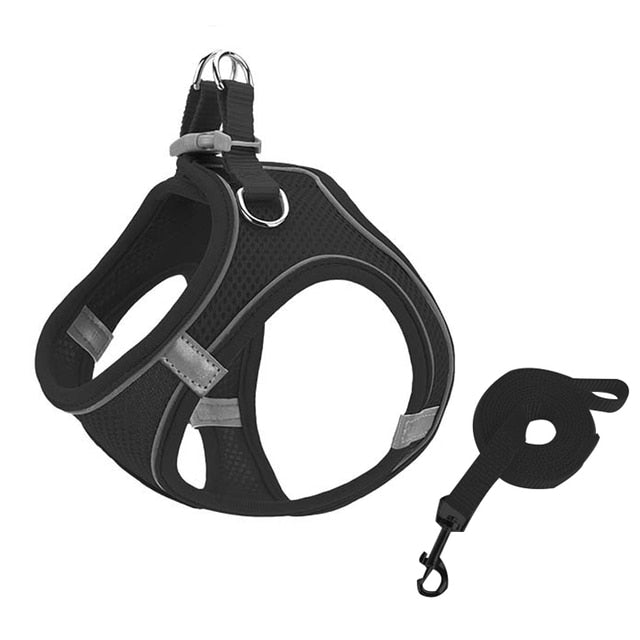 Escape Proof Cat Harness Leash Set