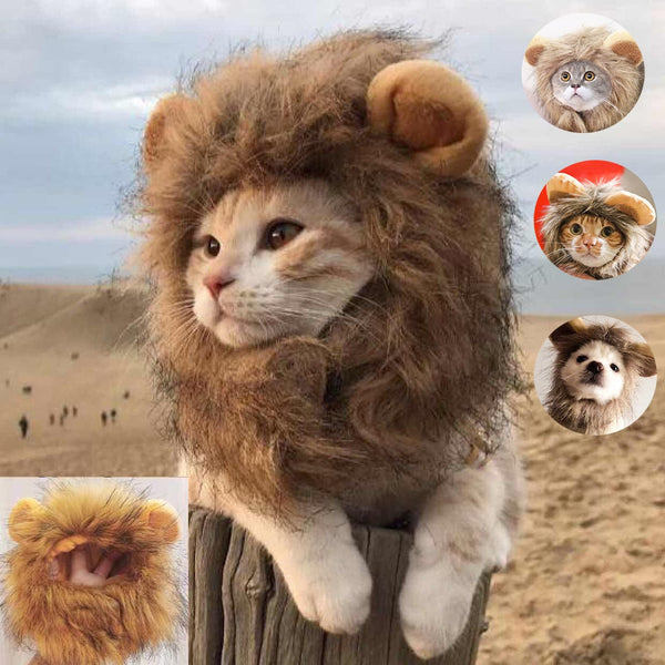 CleverCat Lion Mane Costume