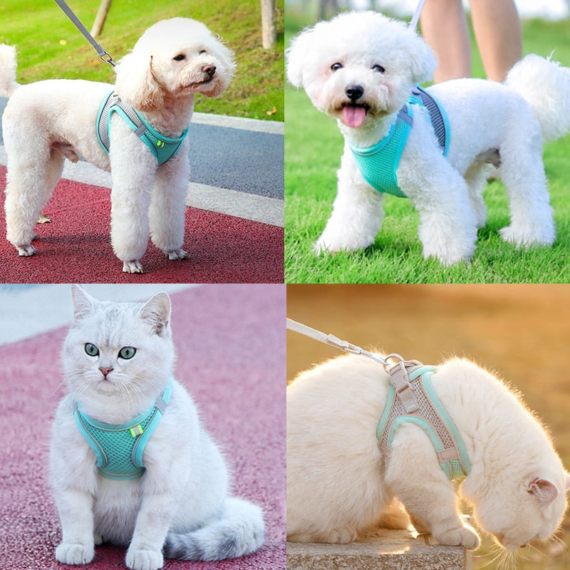 Escape Proof Cat Harness Leash Set
