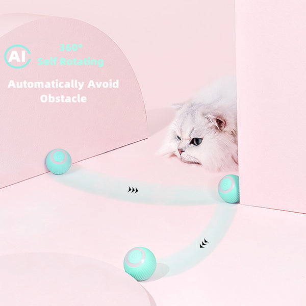 CleverCat Smart Ball Toy