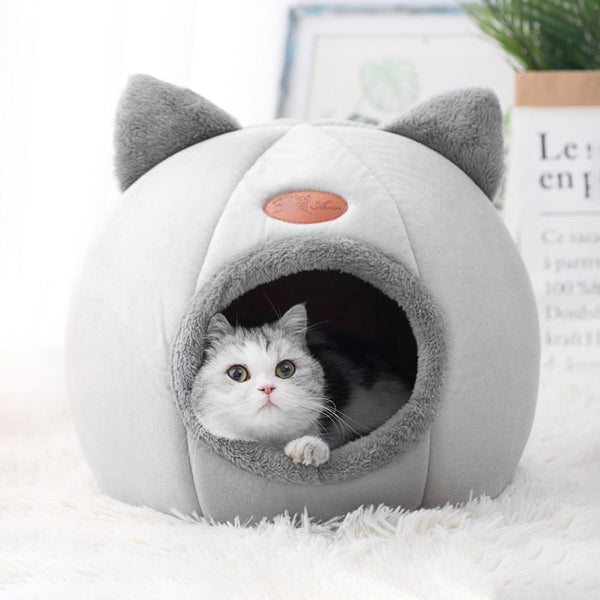 CleverCat Bed
