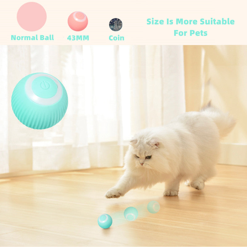 CleverCat Smart Ball Toy
