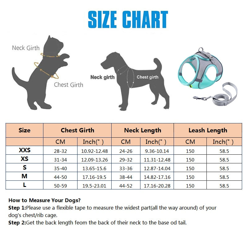 Escape Proof Cat Harness Leash Set