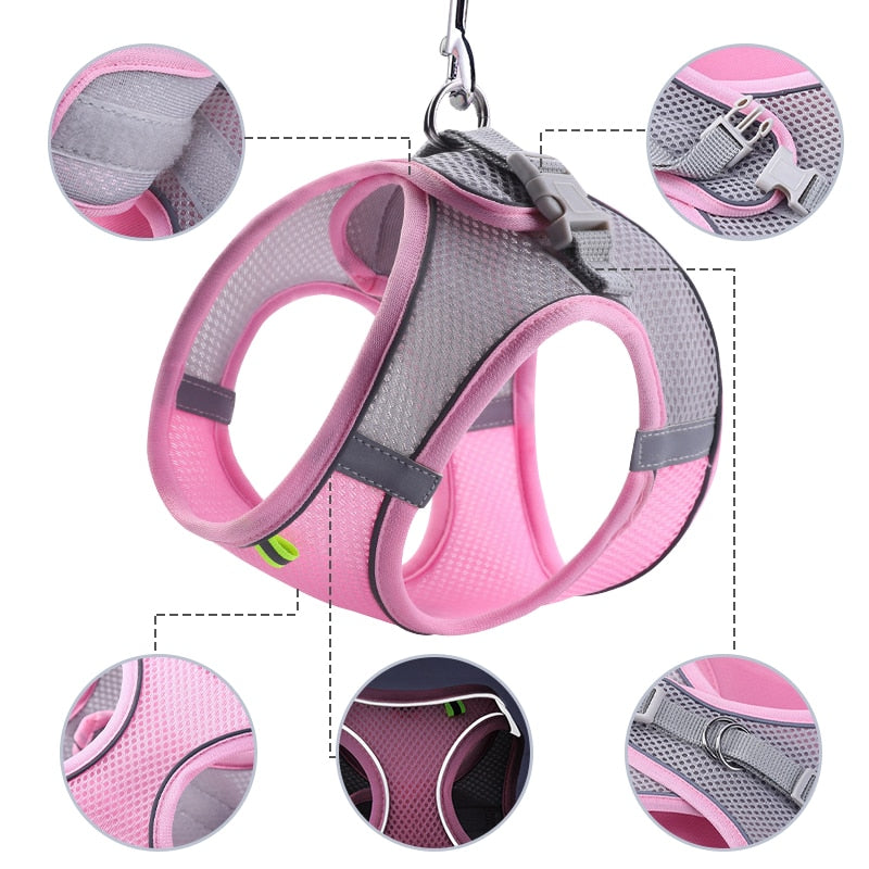 Escape Proof Cat Harness Leash Set