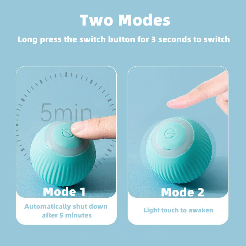 CleverCat Smart Ball Toy