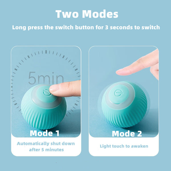 CleverCat Smart Ball Toy