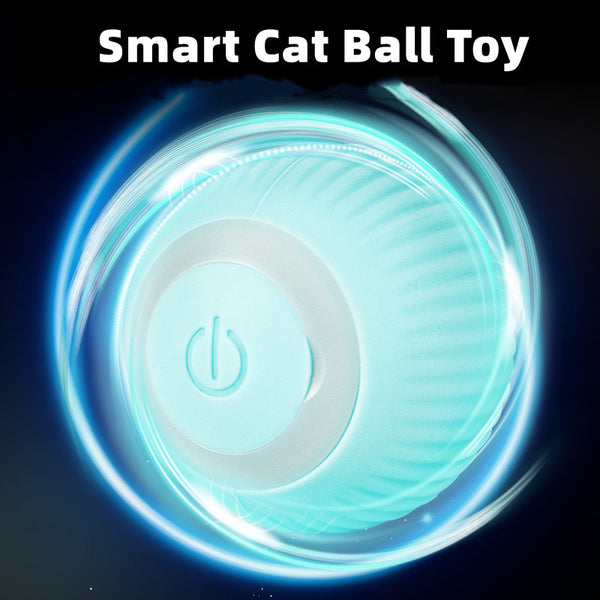 CleverCat Smart Ball Toy