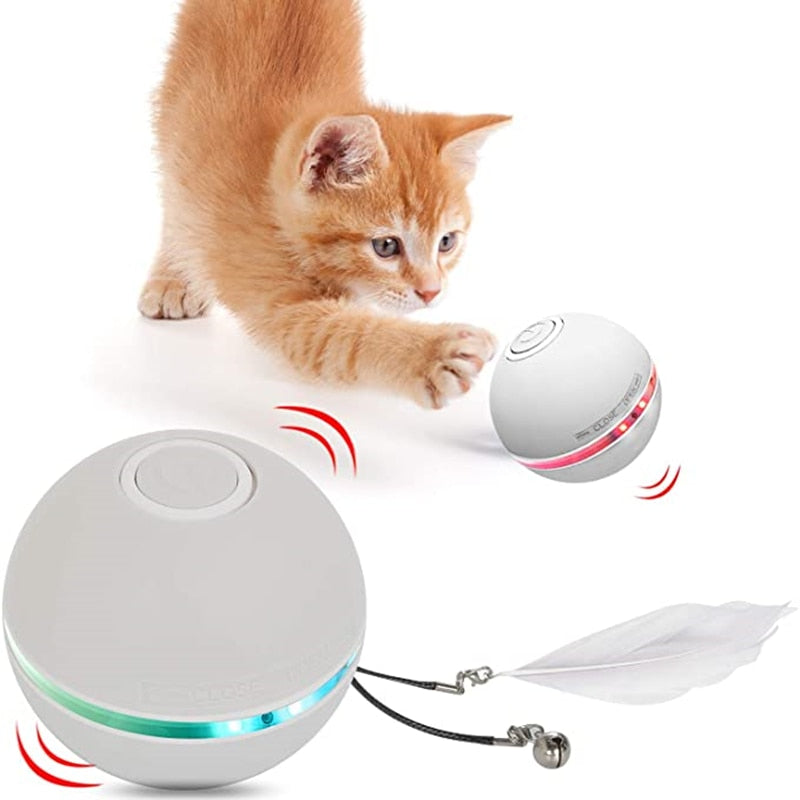 LED Colorful Cat Ball Toy