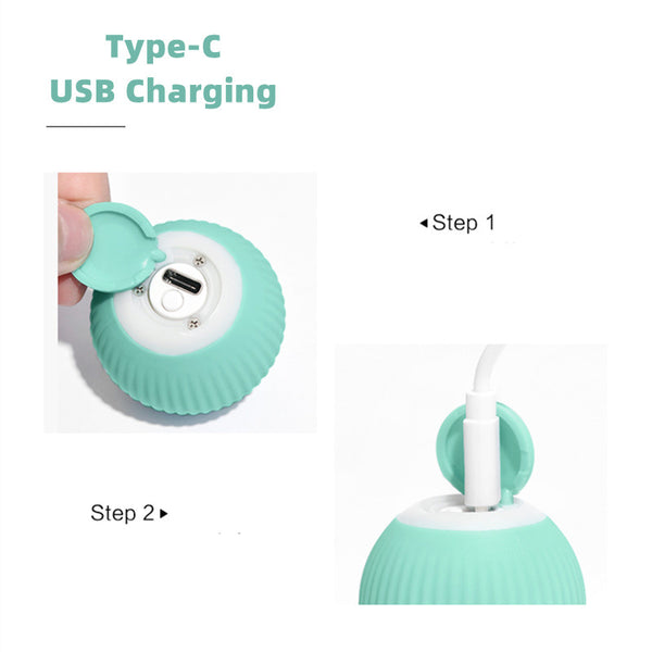 CleverCat Smart Ball Toy