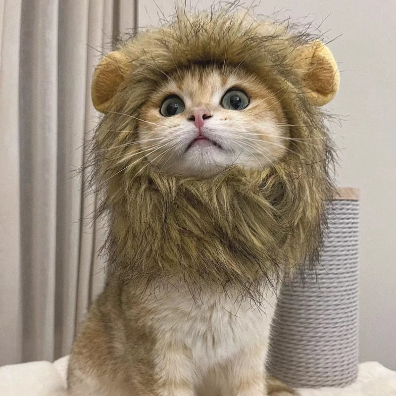 CleverCat Lion Mane Costume