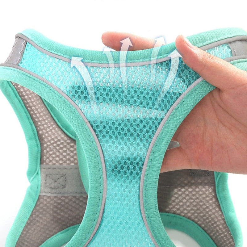 Escape Proof Cat Harness Leash Set