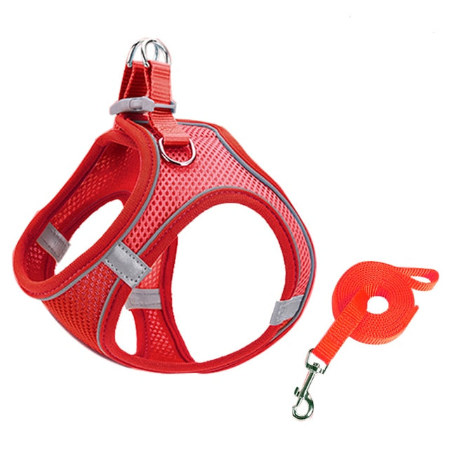 Escape Proof Cat Harness Leash Set