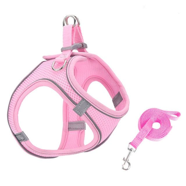 Escape Proof Cat Harness Leash Set