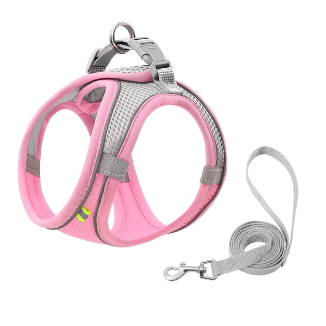 Escape Proof Cat Harness Leash Set