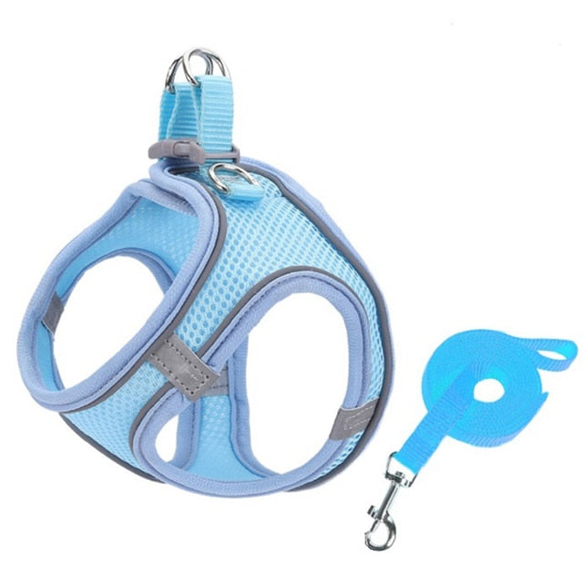 Escape Proof Cat Harness Leash Set