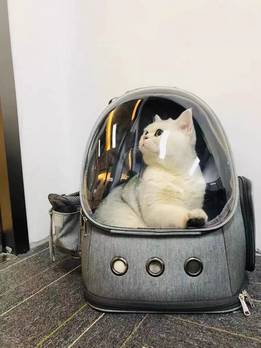 CleverCat Space Capsule Backpack