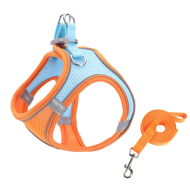 Escape Proof Cat Harness Leash Set