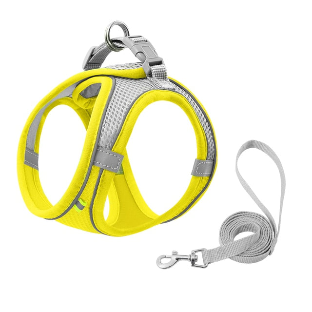 Escape Proof Cat Harness Leash Set