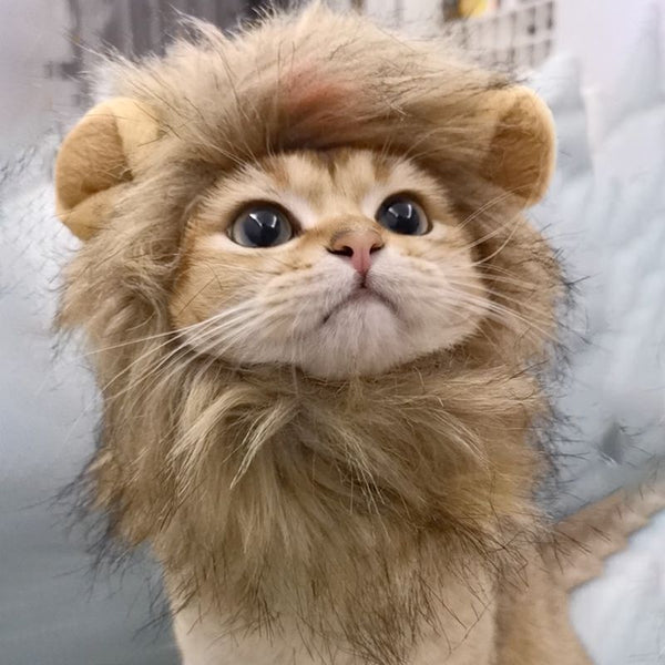 CleverCat Lion Mane Costume