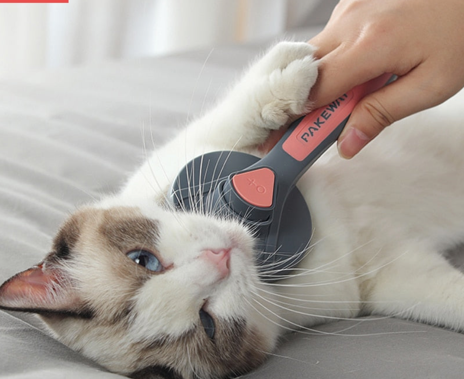 Self Cleaning Grooming Cat Brush