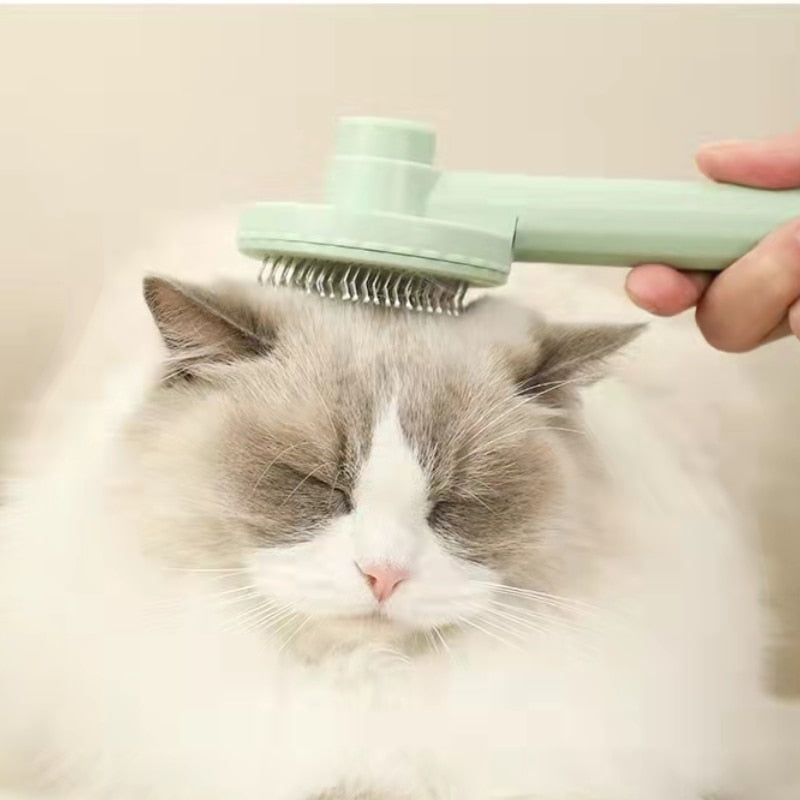 CleverCat Grooming Brush