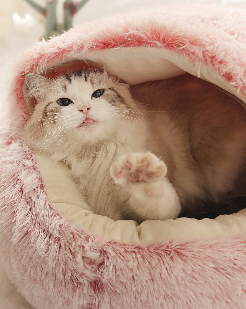 2 in 1 Cat Bed