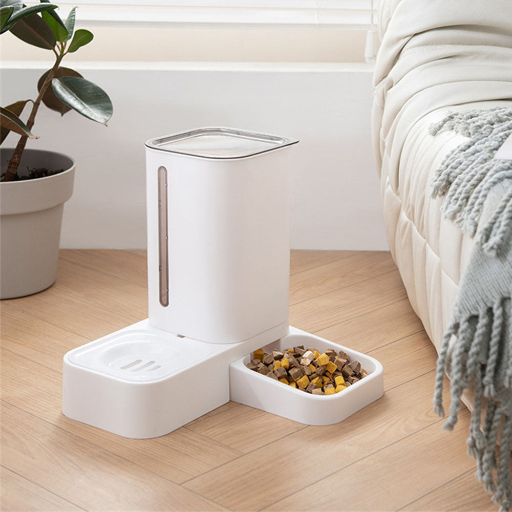 CleverCat Automatic Feeder