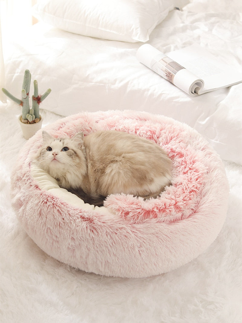 2 in 1 Cat Bed