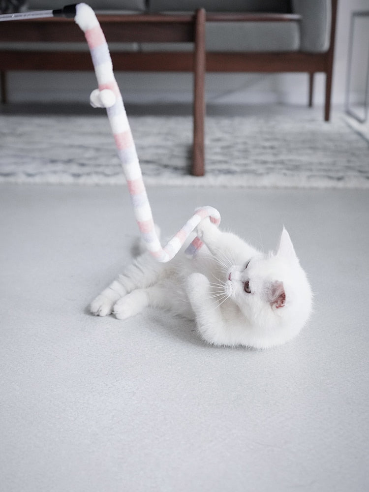 Interactive Cat Caterpillar Toy