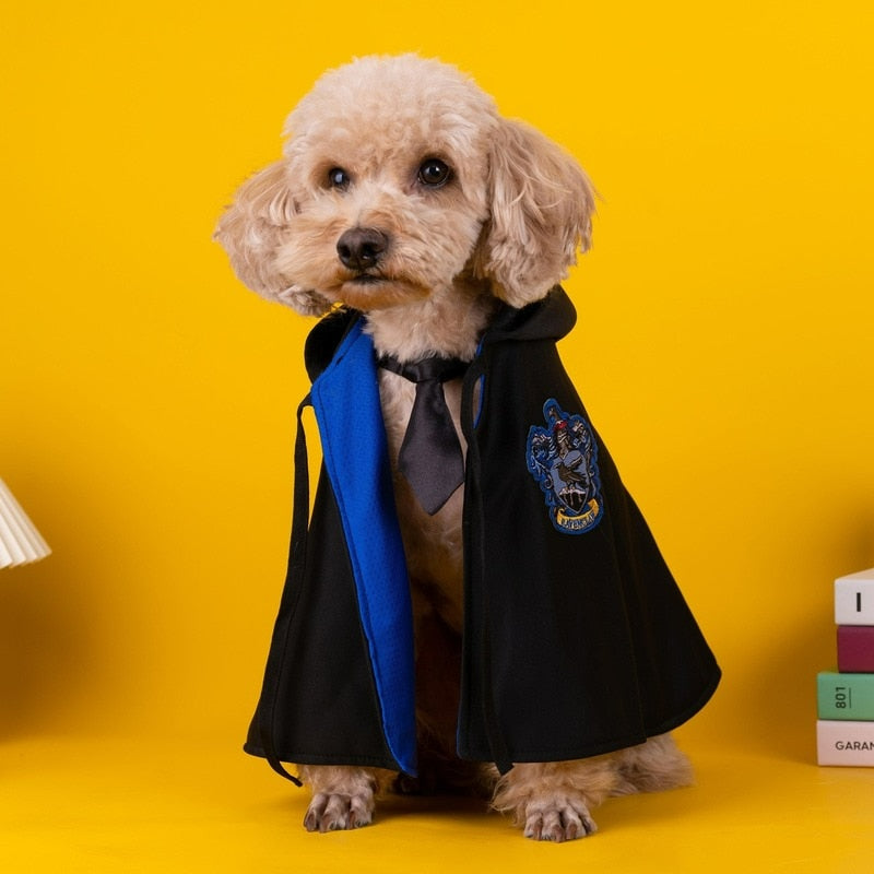 Potter Paws: House-Themed Cat Costumes