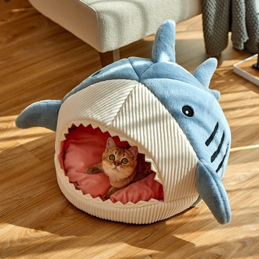 The Shark Cat Bed