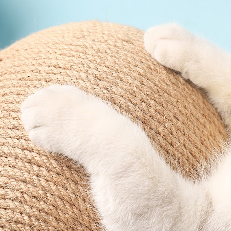 CleverCat Scratching Ball Toy