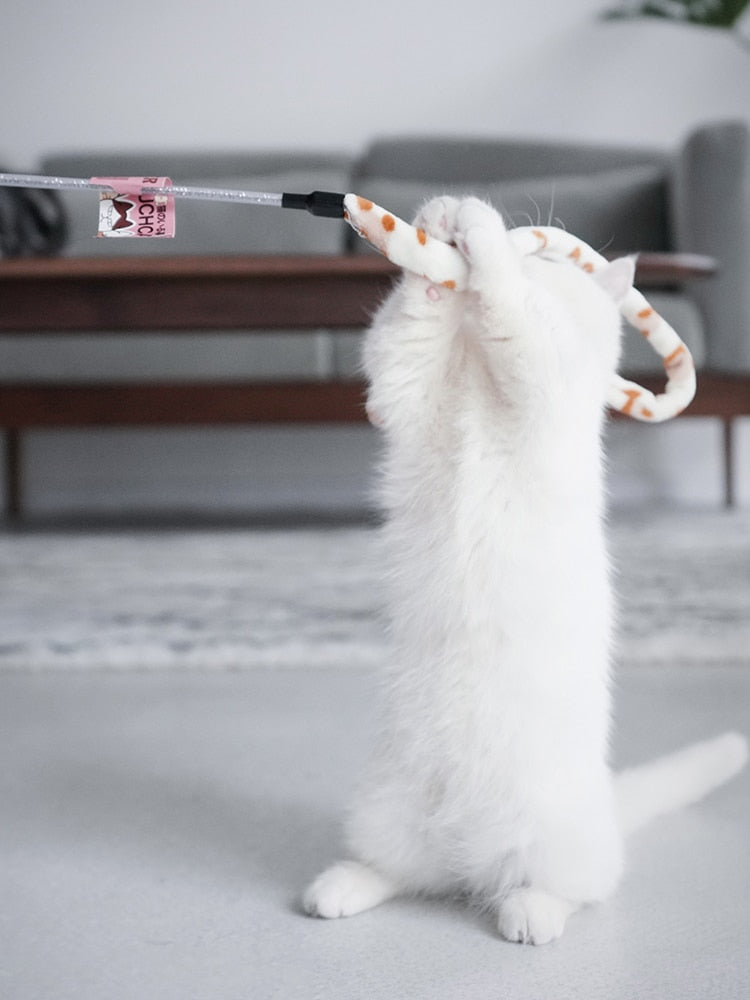 Interactive Cat Caterpillar Toy