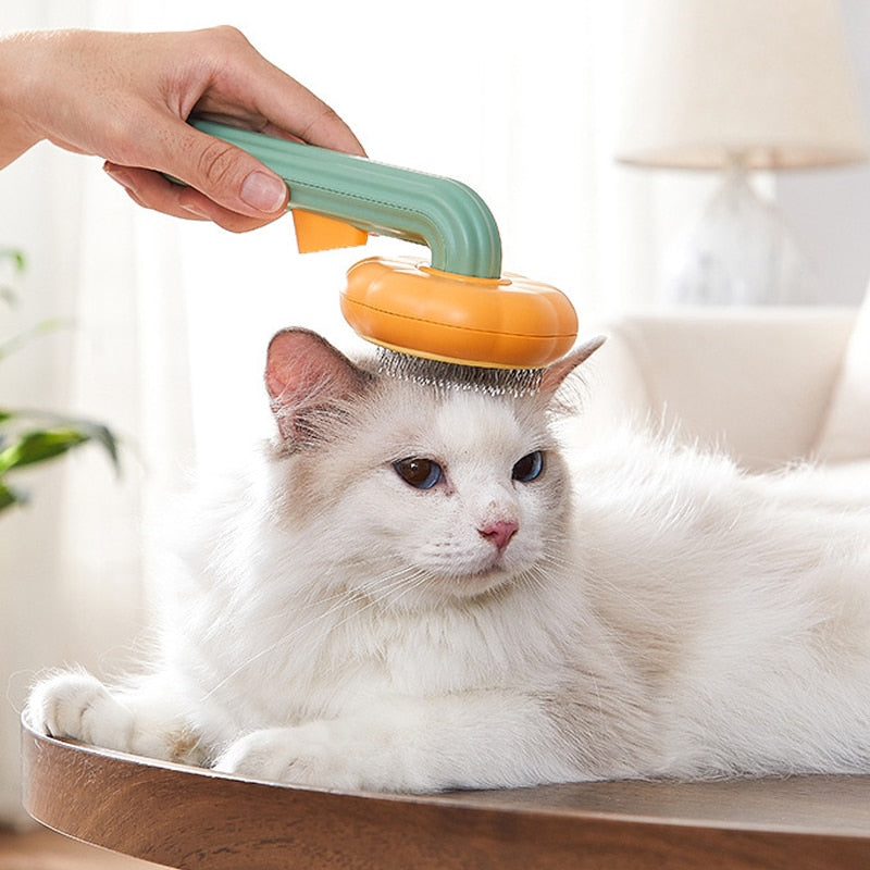 Cat Pumpkin Grooming Brush